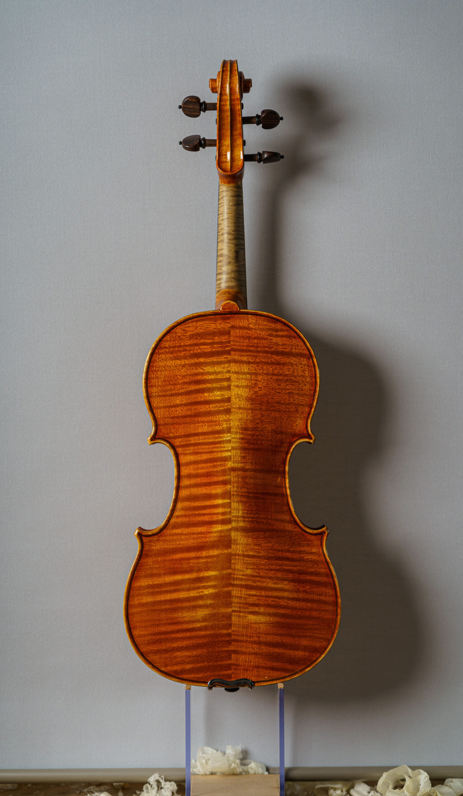 vista trasera de uno de los violines color chocolate de Stefan Marinescu